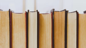 libri recensioni luca manelli